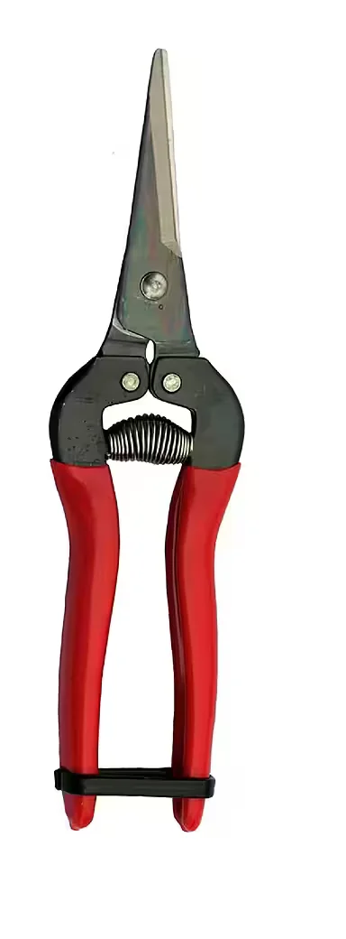 FELCO Ernte und Floristenschere ARS 300L Leseschere Traubenschere