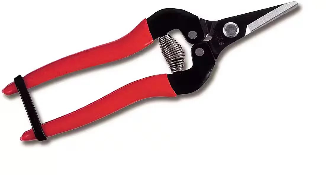 FELCO ARS 300 SS Gartenschere Leseschere für Obst und Trauben